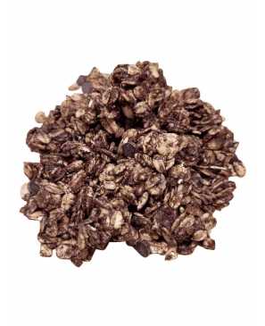 GRANOLA CHOCOLAT BIO VRAC KG 
