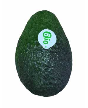 AVOCAT BIO PC 
