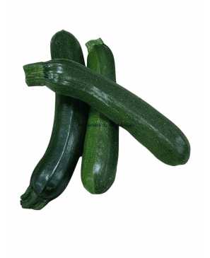 COURGETTE LONGUE KG 