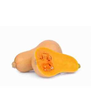 BUTTERNUT KG 