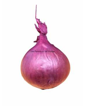 OIGNON ROUGE KG 