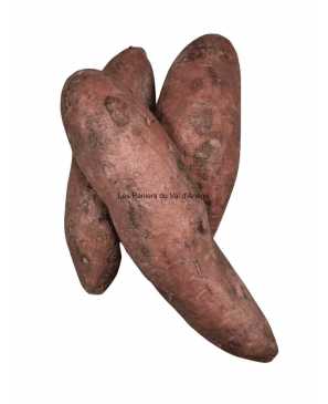 PATATE DOUCE BIO 