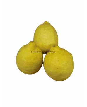 CITRON JAUNE BIO 