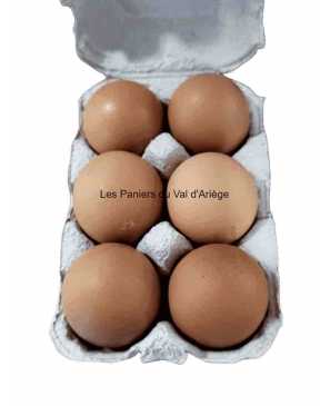 OEUFS GROS FERMIER PLEIN AIR X6   