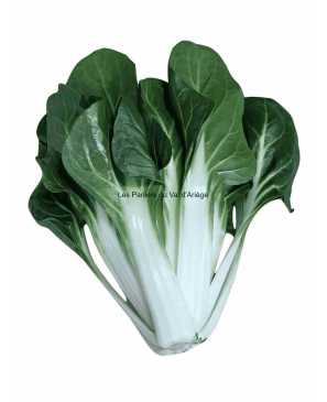 BLETTE BIO KG 