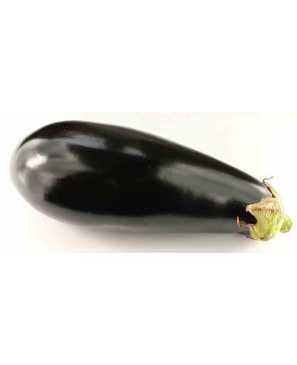 AUBERGINE NOIRE KG 