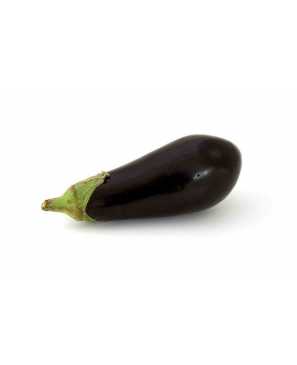 AUBERGINE BIO KG 