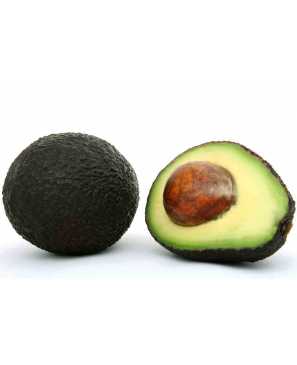 AVOCAT CAL 14 