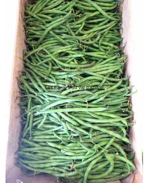 HARICOTS VERTS KG