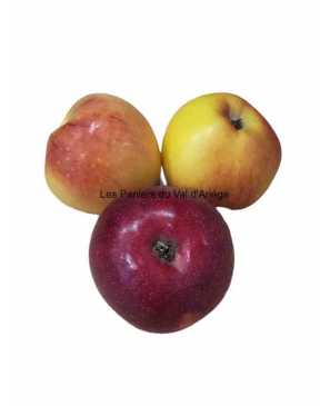 POMME JULIET BIO FR