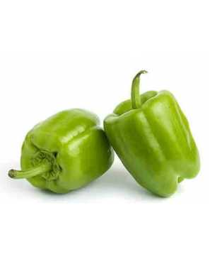 POIVRON VERT KG