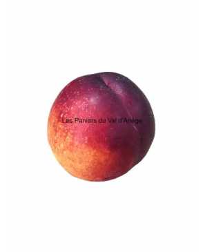NECTARINE KG