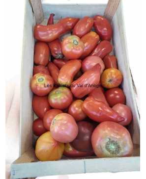 TOMATES ANCIENNES KG