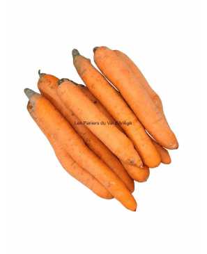 CAROTTES BIO