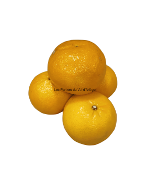 CLEMENTINE KG 