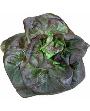 SALADE ROUGETTE 