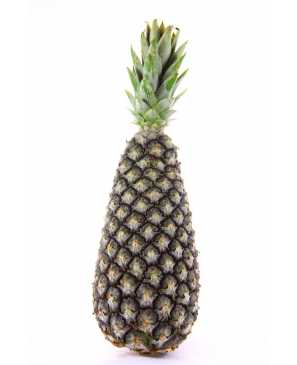 ANANAS PAIN DE SUCRE CAT 1 KG 